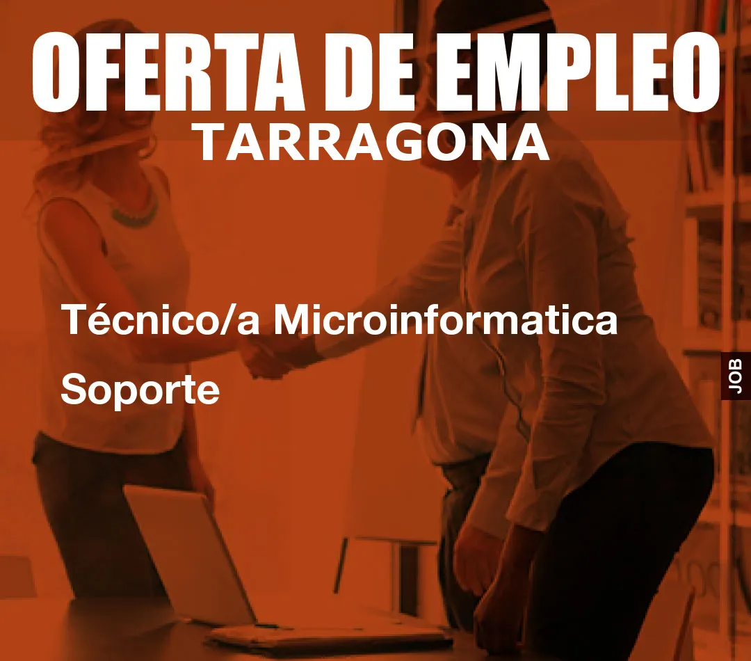 Técnico/a Microinformatica Soporte